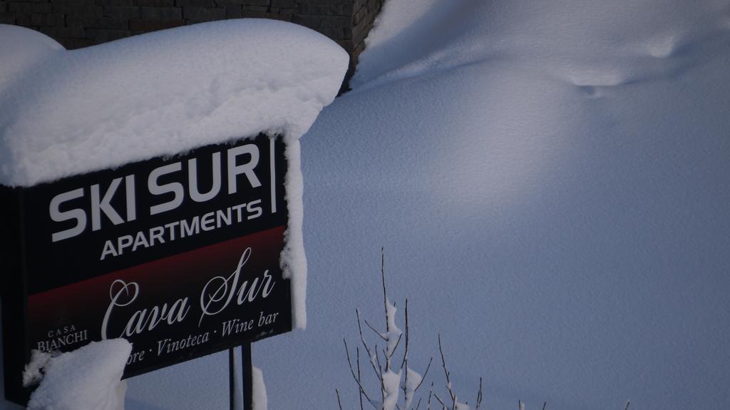 Ski Sur Apartments サンカルロスデバリローチェ エクステリア 写真
